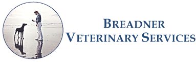 Breadner Veterinary Services