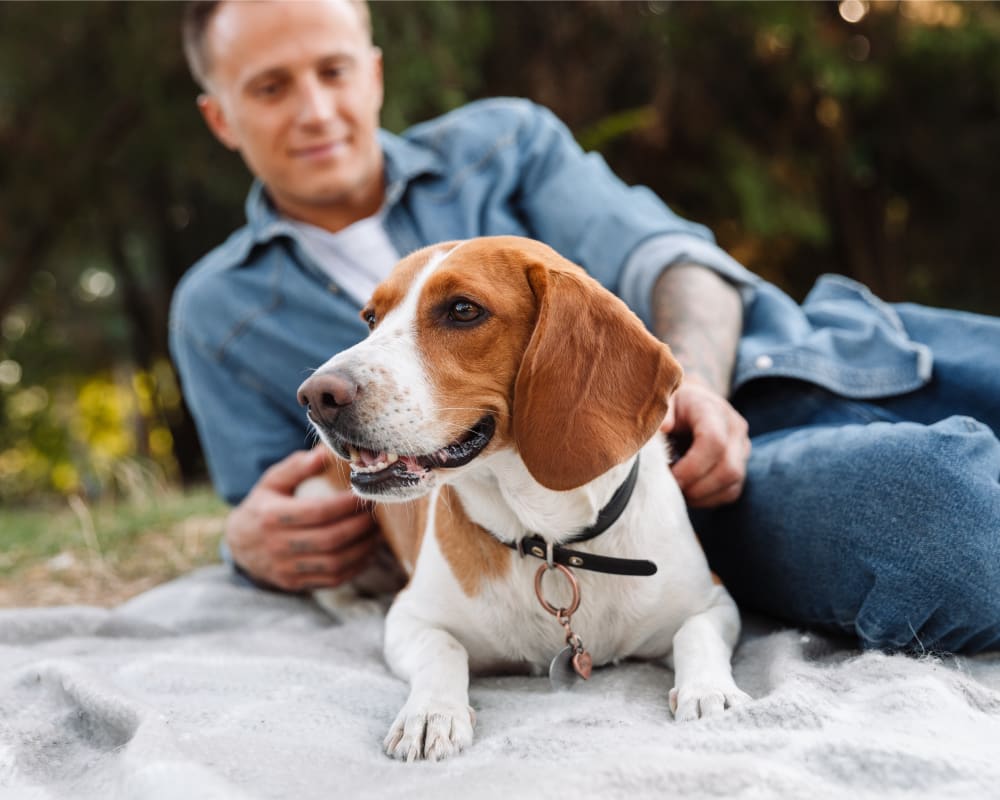 Breadner Veterinary Services in Saanichton