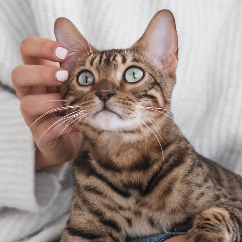 Diagnostics, Saanichton